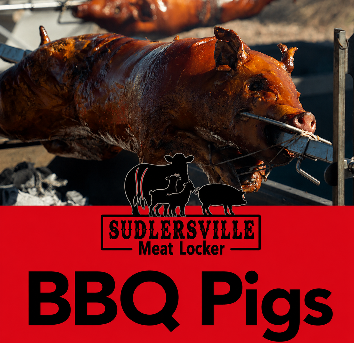 BBQ Pigs